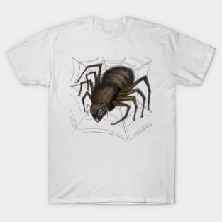 Spider Webs T-Shirt